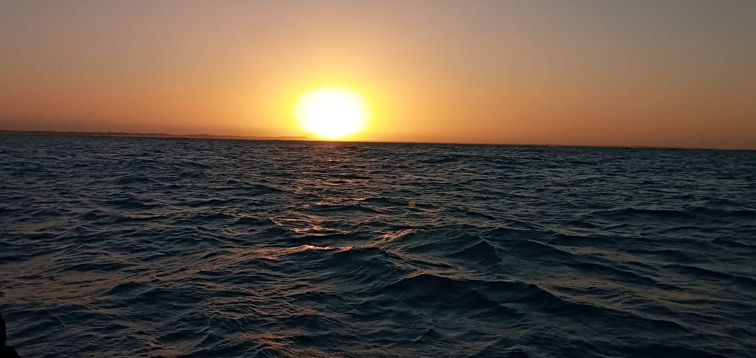 catamaran sunset cruise marco island